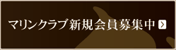�}�����N���u�V�K�����W��