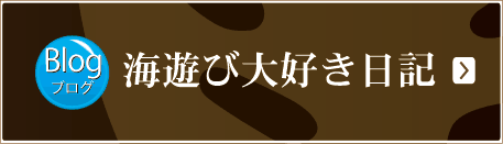 �C�V�ё�D�����L