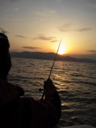 2012年11月4日　ボートエギング（アオリイカ）　釣果