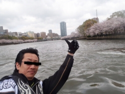2013年4月3日(水)　大阪　花見ツーリング！！ 